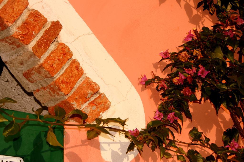 Agriturismo Cele Celle Ligure Exterior photo